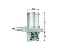 TERMOSTATO RENAULT CLIO KANGOO TWINGO 1.2 BEHR TI4089 OE 7700868980