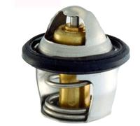 TERMOSTATO RMS KYMCO DOWNTOWN I 300 2011 V20020