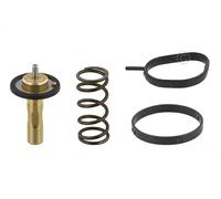 Termostato senza alloggiamento 304 989 TOPRAN per FORD C-MAX II S-MAX GALAXY II