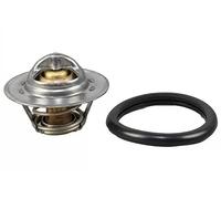 METZGER 4006381 Termostato motore