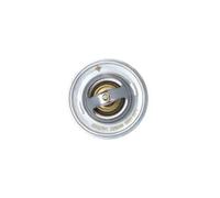 Termostato Refrigerante Nrf 725036 Easy Fit per Ford Opel Vauxhall
