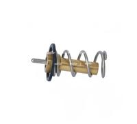 Termostato, refrigerante NRF 725069