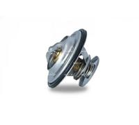 Termostato Refrigerante Nrf 725070 Easy Fit per Bmw