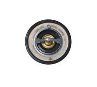 Termostato Refrigerante Nrf 725084 Easy Fit per Subaru