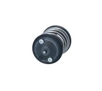 Termostato, Refrigerante compatibile con BMW MINI 725274