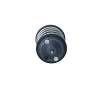 Termostato, Refrigerante compatibile con BMW MINI 725274