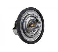 NTY Clothing Exchange Termostato motore senza alloggiamento CTM-CH-034 per CHRYSLER 300C Touring 300M