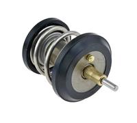 Termostato senza alloggiamento CTM-VW-052 NTY per VW JETTA IV BEETLE
