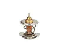 Termostato, refrigerante THERMOTEC D2CL001TT