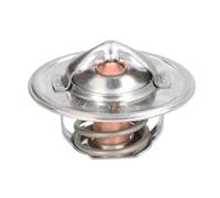Termostato, refrigerante THERMOTEC D2JD004TT