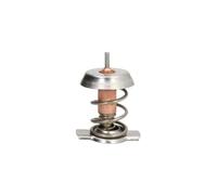 Termostato, refrigerante THERMOTEC D2X008TT