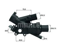 Termostato TH 43 83 MAHLE per CITROËN PEUGEOT FORD FIAT TOYOTA VOLVO DS