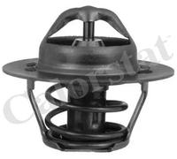 Termostato TH5955.88J CALORSTAT by Vernet per ROVER LAND ROVER MG