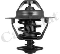 Termostato TH6319.82J CALORSTAT by Vernet per MAZDA FORD NISSAN