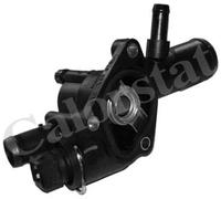 TH6666.89J CALORSTAT by Vernet Termostato, Refrigerante per DACIA,NISSAN,RENAULT