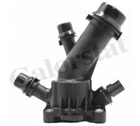 CALORSTAT by Vernet TH7309.90J Termostato motore