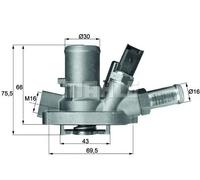 G101980 Termostato, refrigerante Mahle