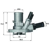 Termostato TI 149 88 MAHLE per FIAT LANCIA FORD