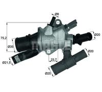 MAHLE BEHR TI 166 88 - Termostato Refrigerante