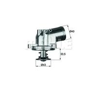 MAHLE TI 21 87 Termostato motore