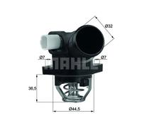 MAHLE ORIGINAL TM 32 103 Termostato motore