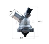 MAHLE TM 43 105 Termostato motore