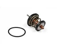HEPU TM1003 Termostato motore