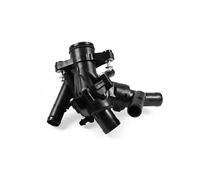 HEPU TM1025 Termostato motore