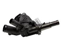 Termostato TM1235 HEPU per RENAULT DACIA