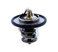 HEPU TM1315 Termostato motore