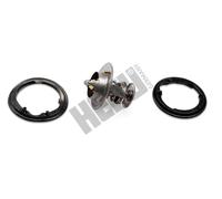 Termostato TM1317 HEPU per ROVER HONDA VOLVO FORD