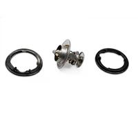 Termostato TM1317 HEPU per ROVER HONDA VOLVO FORD