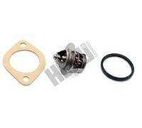 Termostato TM1321 HEPU per NISSAN SUZUKI DAIHATSU PIAGGIO CHEVROLET