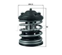 MAHLE ORIGINAL TX 163 87D Termostato motore