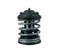 Termostato, refrigerante MAHLE TX 163 87D1