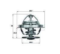 MAHLE Termostato, Refrigerante per MERCEDES-BENZ SSANGYONG TX 19 75D