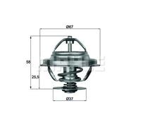 Termostato, refrigerante MAHLE TX 21 80D