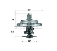 Termostato, refrigerante BEHR MAHLE TX 25 87D