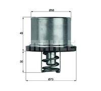 MAHLE BEHR TX 37 79 - Termostato Refrigerante
