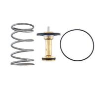 MAHLE TX 492 95D Termostato motore