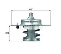 MAHLE TX 60 83D Termostato motore