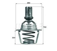TX6686D Termostato, Refrigerante adat.Renault (MARCA-BEHR)