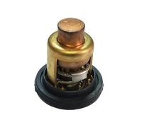 Termostato universale 66M-12411 per motori fuoribordo a quattro tempi 60°C 140°F F40 50 60 80 100 p 66M-12411-01 66M-12411-00 18-3541