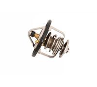 JAPANPARTS VT-W14 Termostato motore
