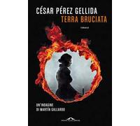 Terra bruciata. Un'indagine di Martín Gallardo