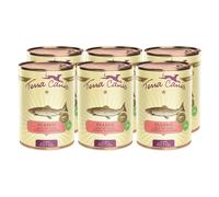 Terra Canis Salmone, miglio, pesca & erbe aromatiche - Alimento umido Classic, 6