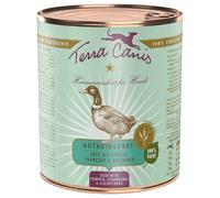 Terra Canis Senza cereali 6 x 800 g Alimento umido per cane - Anatra con Zucca, Fragole e Sambuco