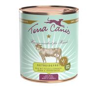 Terra Canis Senza cereali 6 x 800 g Alimento umido per cane - Vitello con Radice di prezzemolo, Mango e Ribes
