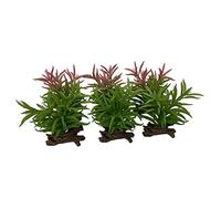 Terra Della, Crassula 13 x 10,5 x 16 cm Colori misti, Rettili, Colori misti, Rettili