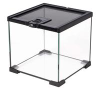 Terra Della Glas-Terrarium Nero, Diverse Misure, NUOVO